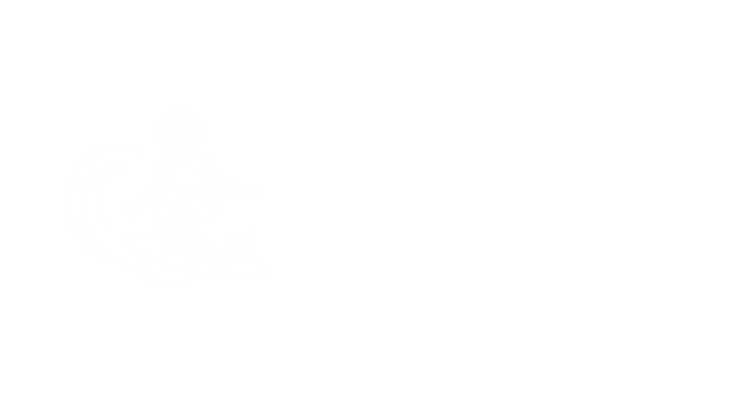Silver Surfers